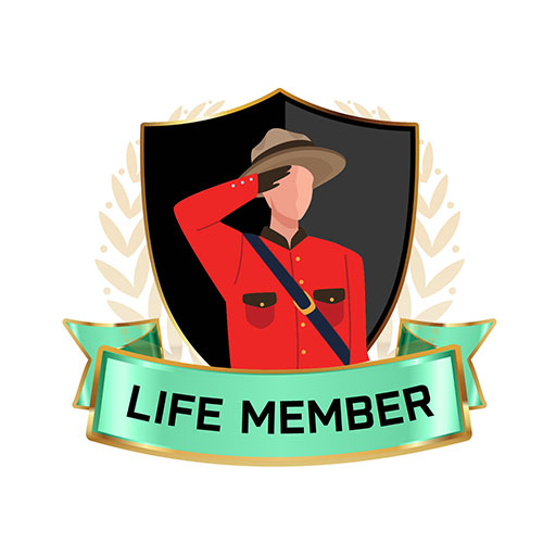 Soldier Badges 14